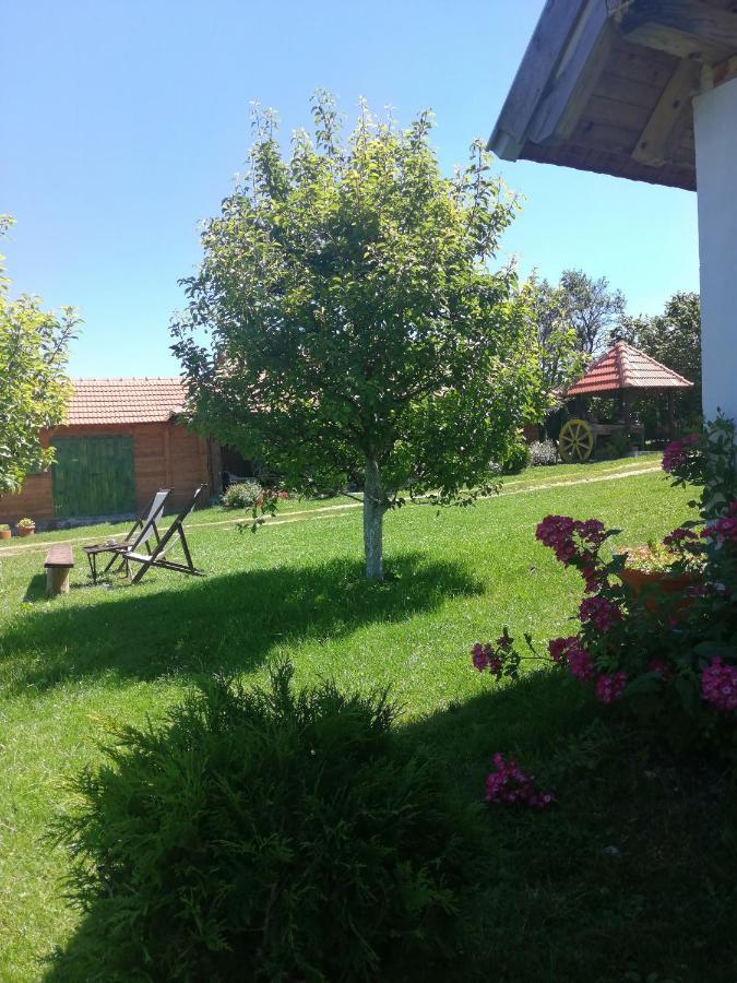 Camp Viljamovka Διαμέρισμα Kremna Εξωτερικό φωτογραφία