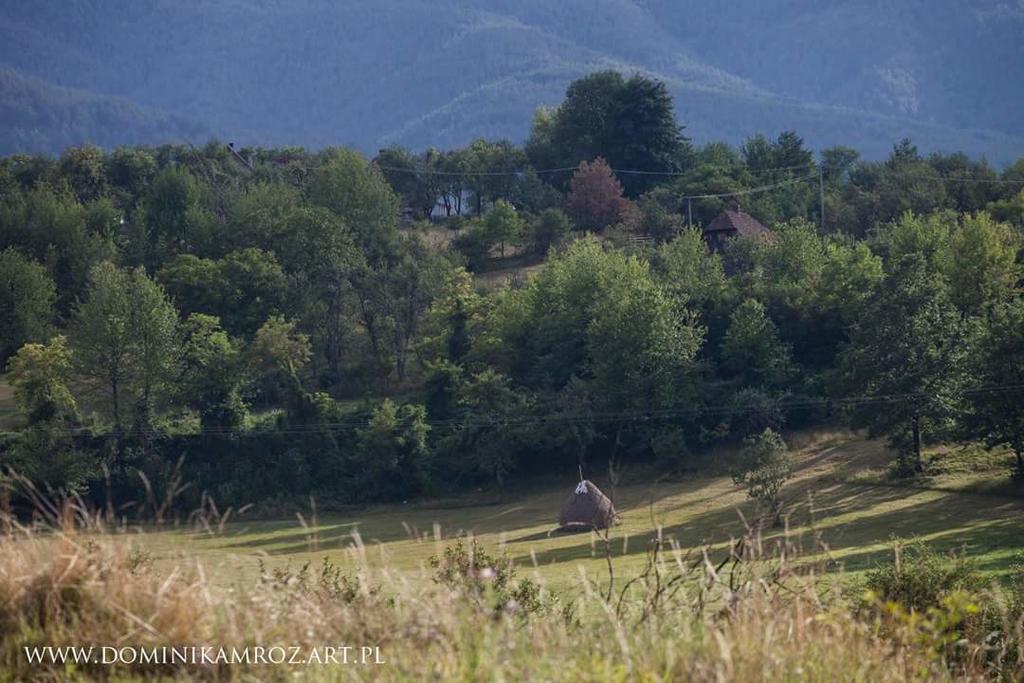 Camp Viljamovka Διαμέρισμα Kremna Εξωτερικό φωτογραφία