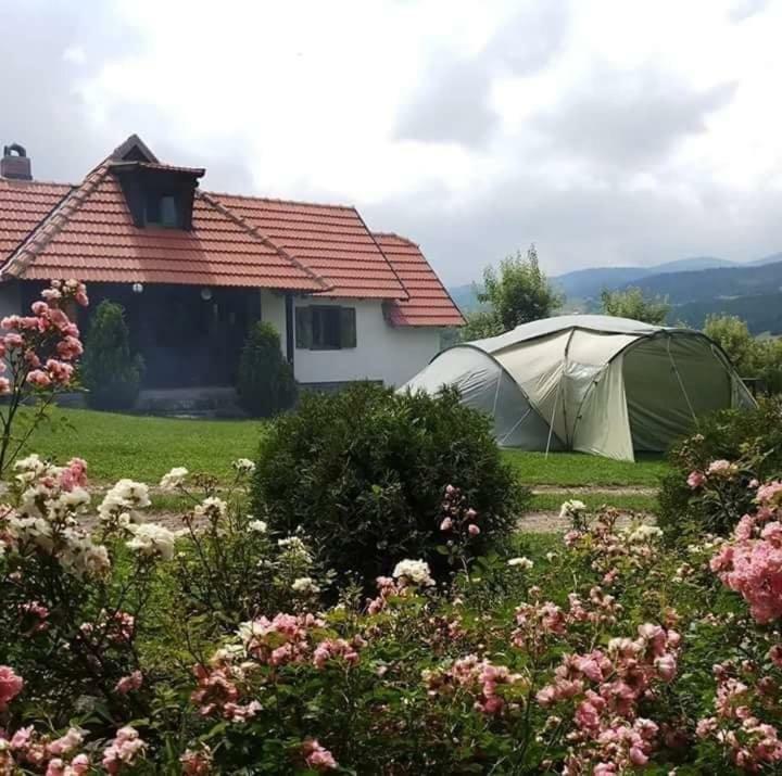 Camp Viljamovka Διαμέρισμα Kremna Εξωτερικό φωτογραφία